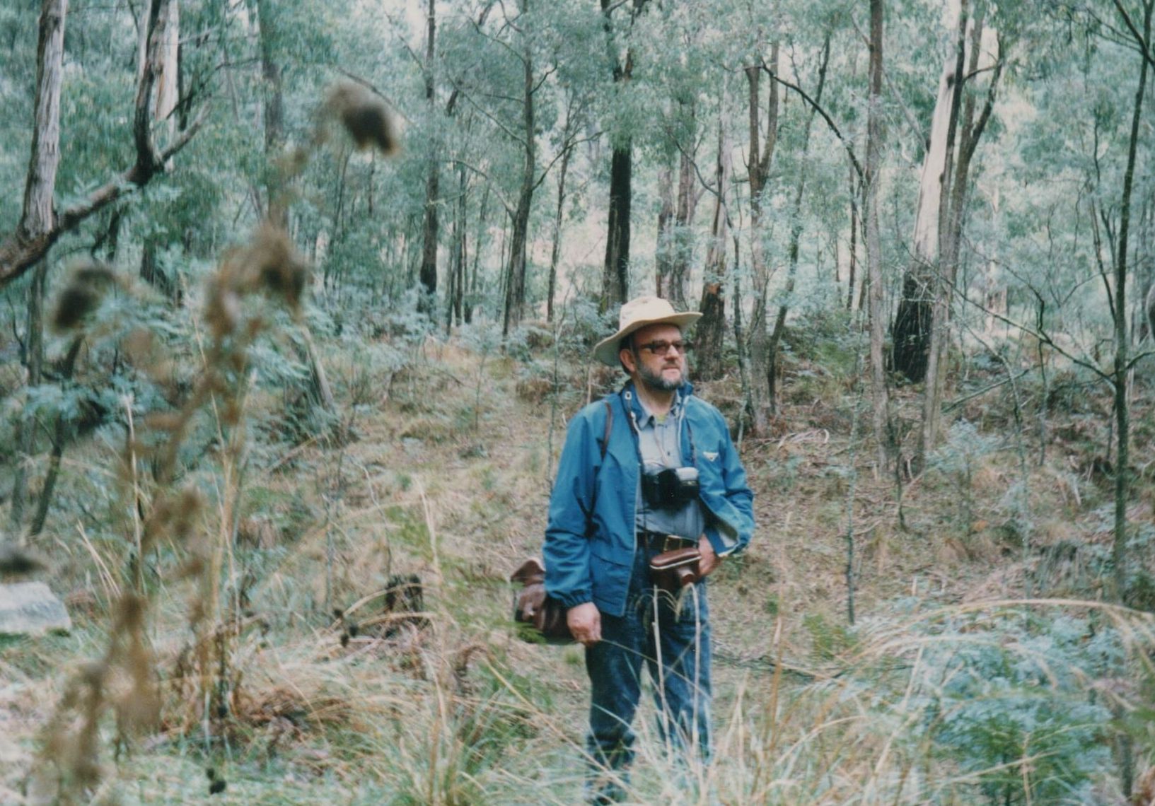 Australijos eukaliptų miške. 1988 m. gegužės mėn. G. Ilgūnas automobiliu su tautiečiais nuvažiavo virš 10 000 km.
